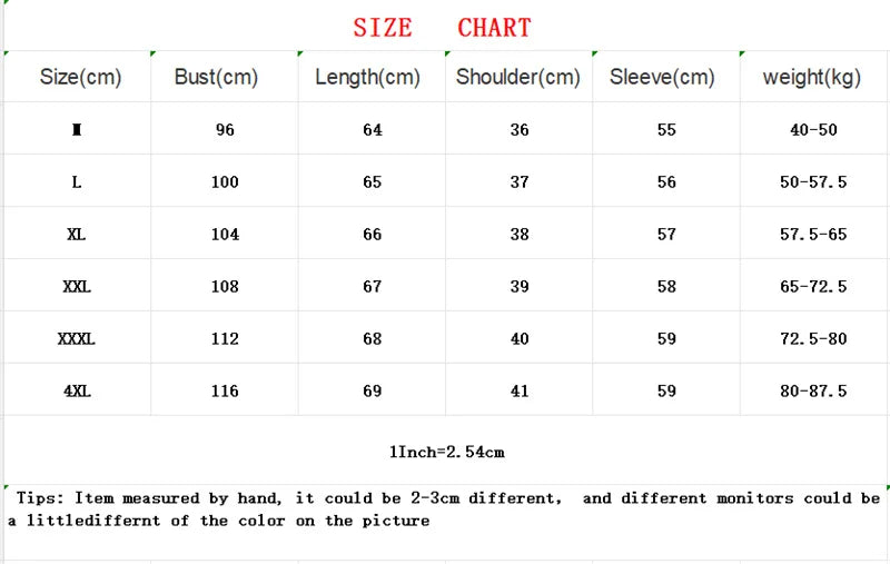 Fake Two Denim Shirts Women's Early Spring 2024 Korean Version Of Casual Western Style Joker Stitching Letter Striped Top