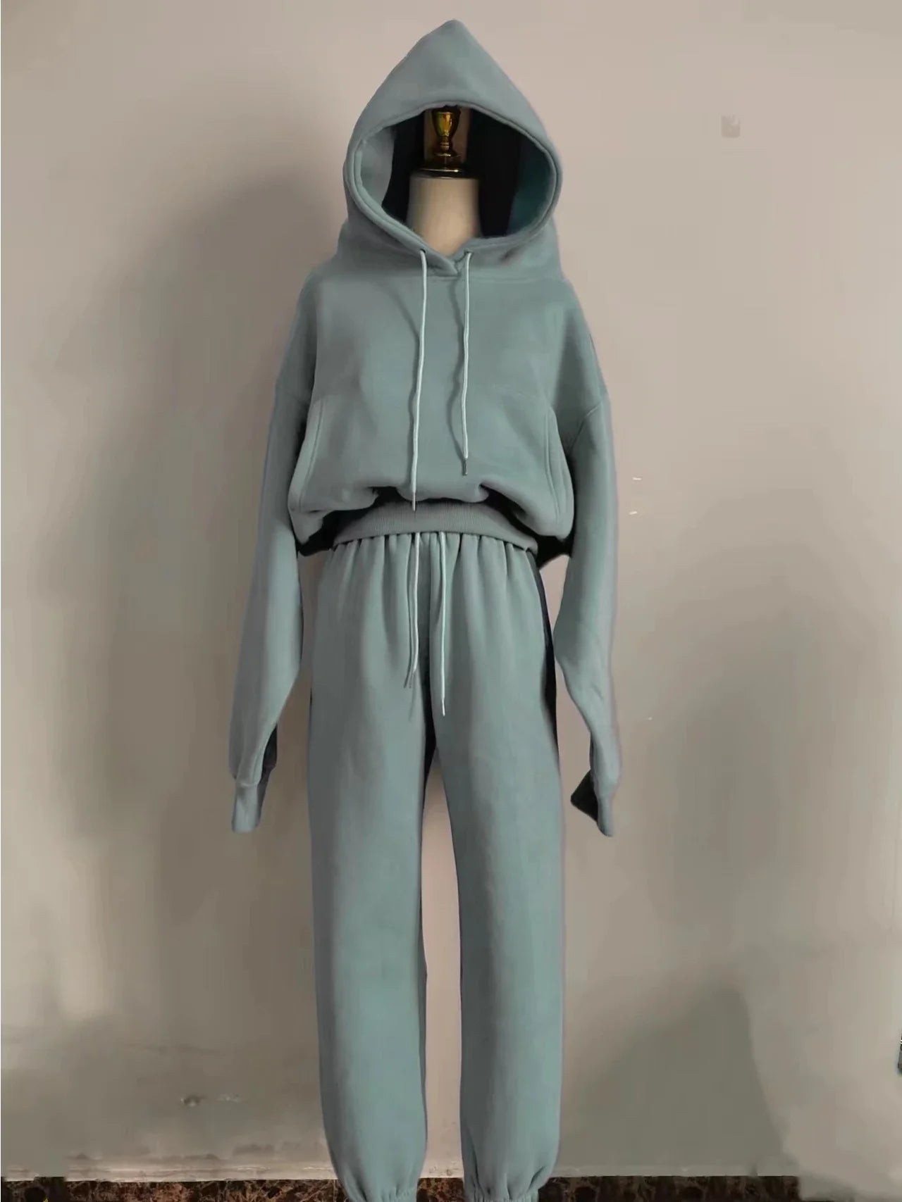 Women's casual hooded tracksuit set in solid color with fleece pullover and sweatpants for winter and spring.